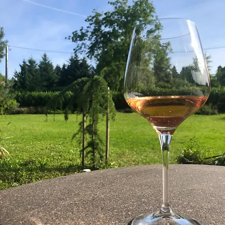 Lak-lak Vendeghaz Apartament *